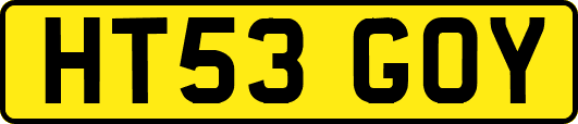 HT53GOY