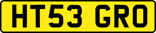 HT53GRO