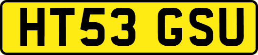 HT53GSU