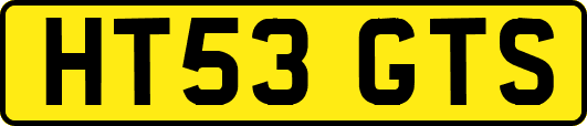 HT53GTS