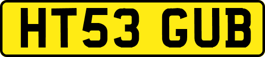 HT53GUB