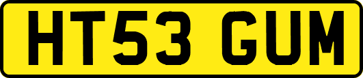 HT53GUM