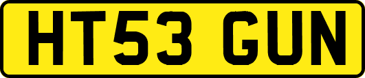 HT53GUN