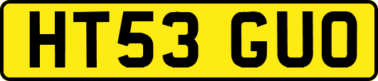 HT53GUO