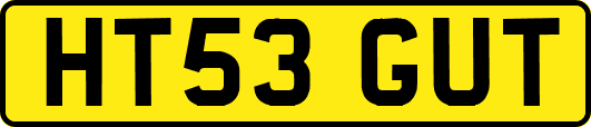 HT53GUT