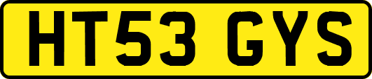 HT53GYS