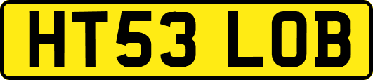 HT53LOB