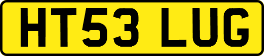 HT53LUG