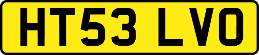 HT53LVO