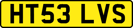 HT53LVS