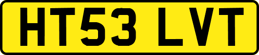 HT53LVT