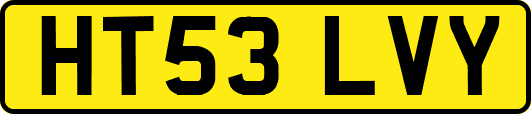 HT53LVY