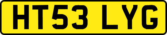 HT53LYG