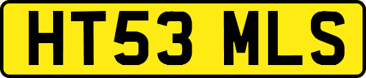 HT53MLS