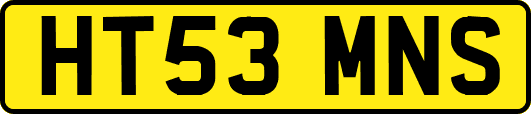 HT53MNS