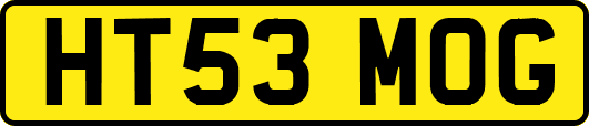 HT53MOG