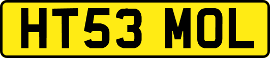 HT53MOL