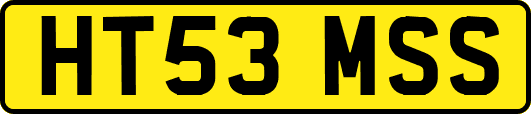 HT53MSS