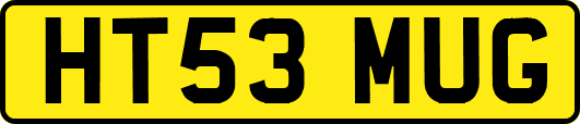 HT53MUG
