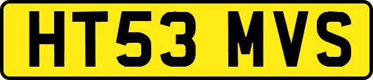 HT53MVS