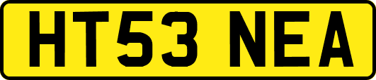HT53NEA