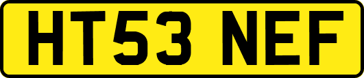 HT53NEF