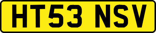 HT53NSV