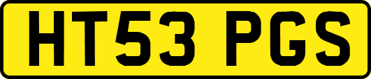 HT53PGS