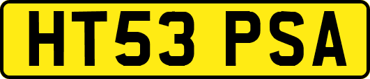 HT53PSA