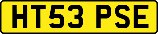 HT53PSE