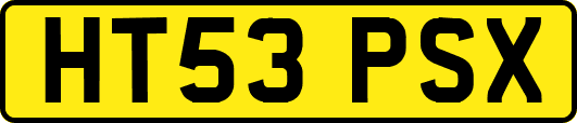 HT53PSX