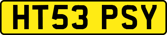 HT53PSY