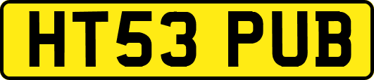 HT53PUB