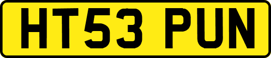 HT53PUN