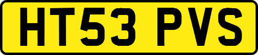 HT53PVS