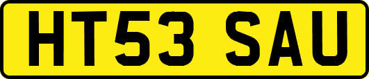 HT53SAU