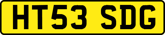 HT53SDG