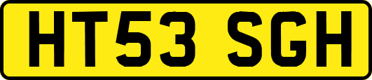 HT53SGH