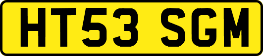 HT53SGM