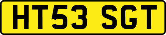 HT53SGT
