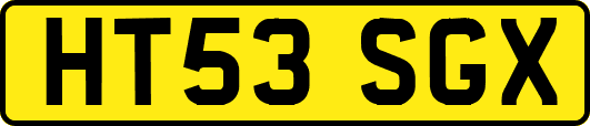 HT53SGX