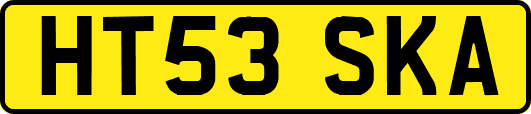 HT53SKA
