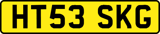 HT53SKG