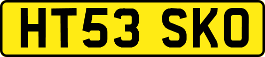 HT53SKO