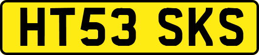 HT53SKS