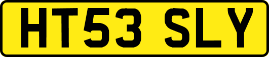 HT53SLY