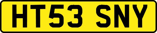 HT53SNY