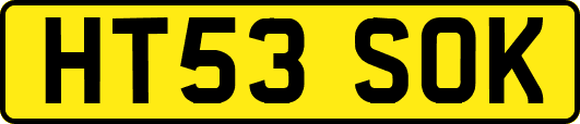 HT53SOK