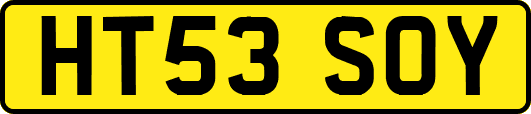 HT53SOY