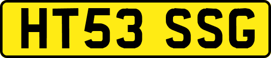 HT53SSG